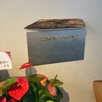 LUMINO CaRINO - 