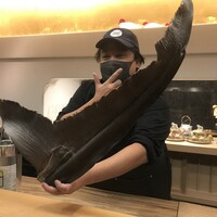 美会 - 