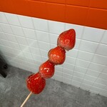 WONDER SWEETS - 