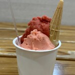 アンティカ ジェラテリア - 