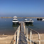 割烹旅館　志みず - 