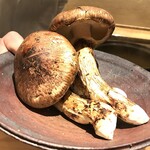 新ばし 星野 - 岡山からの松茸