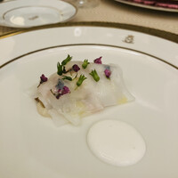 SALONE TOKYO - 