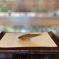 京都祇園 天ぷら八坂圓堂 -  京都祇園 天ぷら八坂圓堂 -