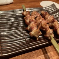鳥ばか一代 - 