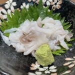 Aduma Zushi - 