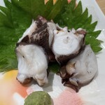 Aduma Zushi - 