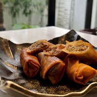 CINA New Modern Chinese - 