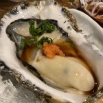 Taishuu Sushi Sakaba Kurosawa Shouten - 牡蠣！！