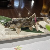 柳家錦 - 