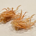 天ぷら 史 - 車海老の頭の天ぷら(コース料理 葵コース)