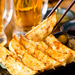 5 legendary Gyoza / Dumpling (flavored Gyoza / Dumpling)