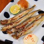 TEPPANDINING IRODORI - 