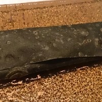中国料理 「チャイナブルー」 コンラッド東京 - 