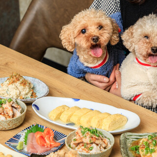 和爱犬一起用餐在私人空间享受与家人的时光。
