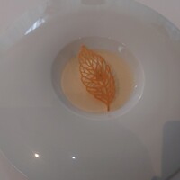 ドミニク・ブシェ トーキョー - 