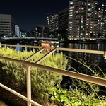 T.Y.HARBOR - 目の前の運河を屋形船が激しく往来