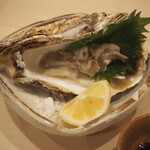 Sushi Tempura Itadaki - 岩牡蠣