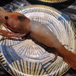 回転寿司 根室花まる - 