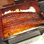 Sandaime Unagi No Tanaka - うな重 「梅」はんぶん 1,580円（税込）。