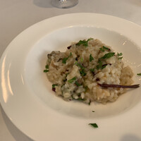 REGA BOSCO - 