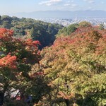 Mishou - 京都の紅葉