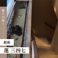 蓮 三四七 - 
