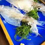 お魚処 玄海 - 