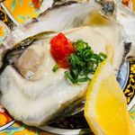 兵庫県赤穂の大粒牡蠣　生