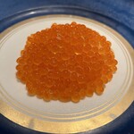 蒼 - ツヤプチ新イクラのフェデリーニ☆