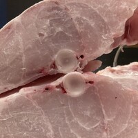 限定　極上の天然クエ鍋　一人前