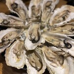 OYSTERS,INC. - 