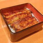 Unagi Takizawa - 