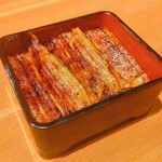 Unagi Takizawa - 