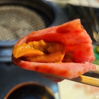 焼肉 にくの音 - 