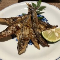 魚料理 ふじい - 