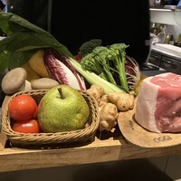 オッジ ダルマット 西麻布店 - 