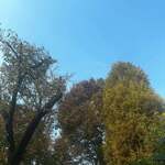 和風ジェラート おかじ Tokyo - 