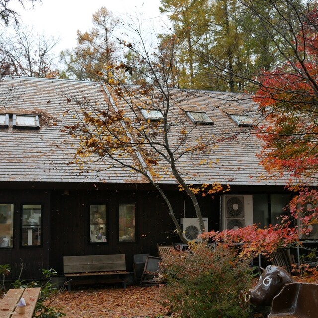 松ぼっくり - 雫石町その他（ジェラート・アイスクリーム）の写真