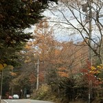 フォリオリーナ・デッラ・ポルタ・フォルトゥーナ - 