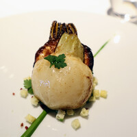 レフェルヴェソンス - 