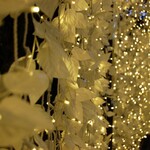 REVIVE KITCHEN THREE - 