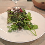 レストラン アニス - 本日のサラダ取り分けて