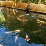 三吉 かに楽座 甲羅戯 - 