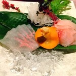 花仙庵 仙仁温泉 岩の湯 - 鯉のあらい