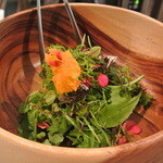 レストラン アニス - 本日のサラダ