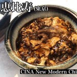 CINA New Modern Chinese - 