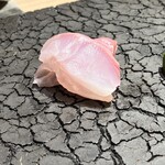 鮨 山沙 - イシガキダイ（佐賀県唐津）