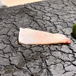 鮨 山沙 - クジラ・ウネ