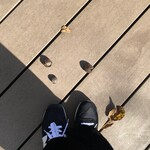 NOMI RESTAURANT - 風で落ちてきました